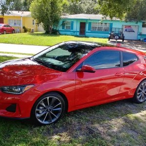 veloster2020tinted1.jpg